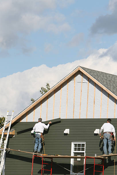 Best Vinyl Siding Installation  in USA